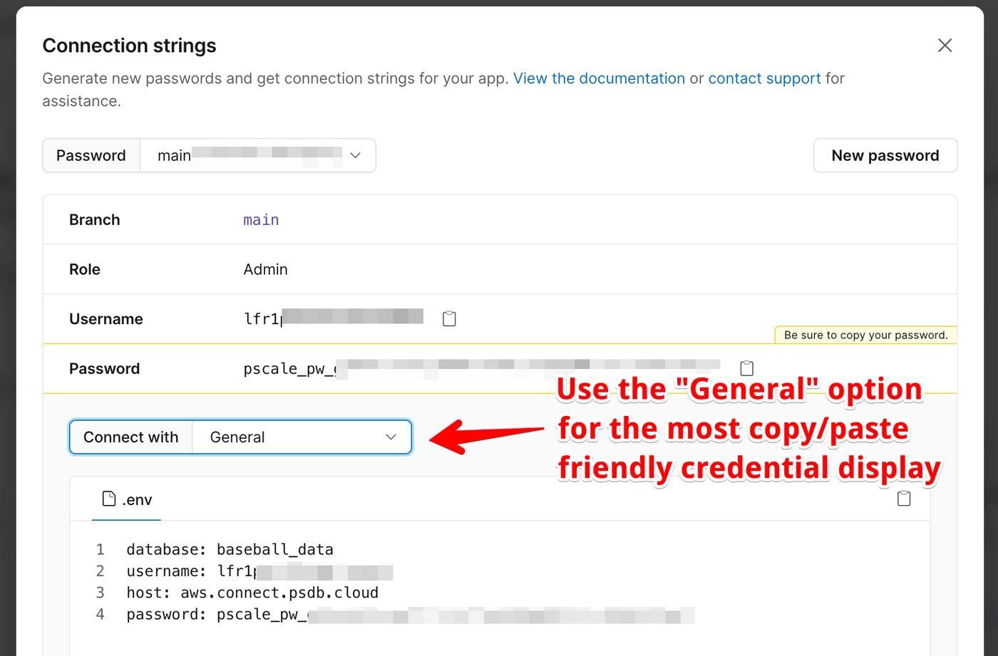 These are the connection details you will need to set up your database resource in Retool.